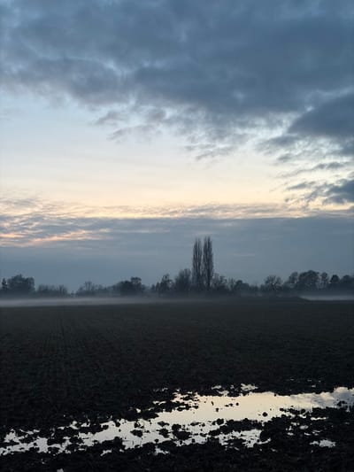 A landscape photograph, rotated 90 degrees, captures a field under a cloudy sky. Trees line the horizon, obscured by mist. The right side of the frame shows muddy ground, partially reflecting the light. The sky transitions from dark, textured clouds on the left to a softer, brighter area near the center, suggesting sunrise or sunset. The overall scene conveys a sense of tranquility and rural stillness.