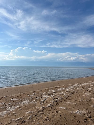 This is a vertical, low-angle shot of a beach scene. The image is divided into three horizontal sections. The left third is a bright blue sky with wispy white clouds streaking across it. The middle third is a calm, rippling body of water, likely a lake or the sea, reflecting the sky. The right third is a sandy beach, speckled with white debris, possibly shells or dried seaweed. The sand appears to be damp near the waterline and dry further inland. The lighting suggests it is daytime, likely late morning or early afternoon, with the sun casting subtle shadows on the sand. There is no visible text in the image. The scene evokes a sense of tranquility and natural beauty. The overall impression is a serene beach landscape.