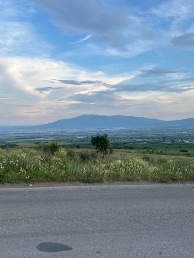 The image depicts a scenic overlook of the city of Golyanovtsi, Bulgaria. In the foreground, a paved road runs horizontally across the bottom of the frame. A dark, irregular stain is visible on the road surface. Beyond the road, a grassy incline is covered with tall, dry grass and scattered white wildflowers. Further in the distance, a valley unfolds, dotted with trees and clusters of buildings that form the cityscape of Golyanovtsi. A large, amorphous mountain range dominates the horizon, its peaks softened by atmospheric haze. The sky above is a dynamic canvas of blue with scattered white and gray clouds, suggesting either dawn or dusk. A single, sparsely leaved tree stands alone on the grassy slope, contributing to the pastoral feel of the landscape. The overall scene is one of expansive natural beauty juxtaposed with a distant urban settlement.