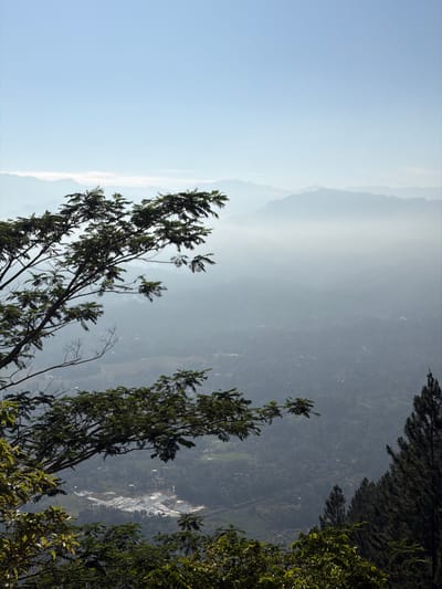 A mountainous vista unfolds with a clear blue sky transitioning to hazy mountain ranges. Tall, dark green trees populate the foreground, their leaves detailed in the sunlight. In the valley below, indistinct structures suggest a small town nestled within the landscape. The image is rotated to the right with the horizon line running vertically, creating an unusual perspective.