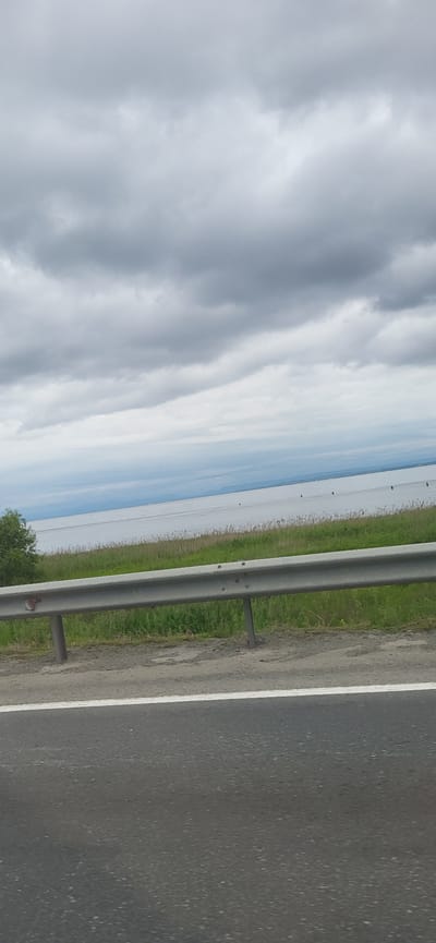 The image shows a roadside view with a highway in the foreground, a metal guardrail, and a body of water in the background under a cloudy sky. The water stretches to the horizon, where faint hills or landmasses can be seen. A line of green grass and reeds separates the water from the road. There are several small, dark figures, possibly people, standing in the shallow water near the edge of the reeds. The scene appears to be a natural landscape next to a road, with no distinct urban features of De-Friz, Russia, visible.