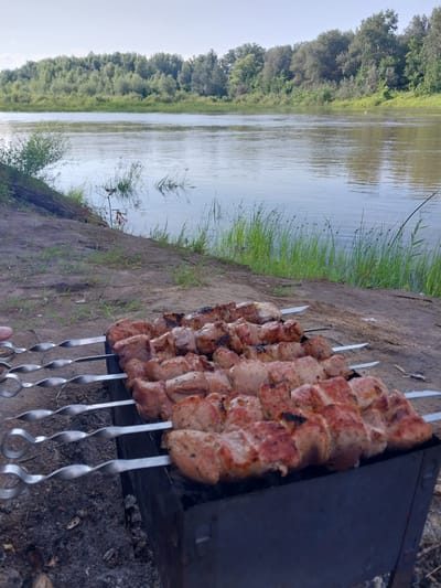 This is a medium shot, eye-level, outdoor photograph of shashlik being grilled on a brazier next to a river. The shashlik is skewered on metal rods and is mostly cooked, with some pieces showing charring. The brazier is dark gray and appears to be made of metal. The ground in the foreground is sandy and covered with some dry leaves and debris. Beyond the ground, there is a river with calm water. The riverbank on the opposite side is lined with lush green trees and vegetation. The sky is a pale blue, indicating a daytime scene. There are no people visible in the image, but a hand is partially visible on the left side, holding one of the skewers. The location is the bank of a river in Chkalov, Russia.