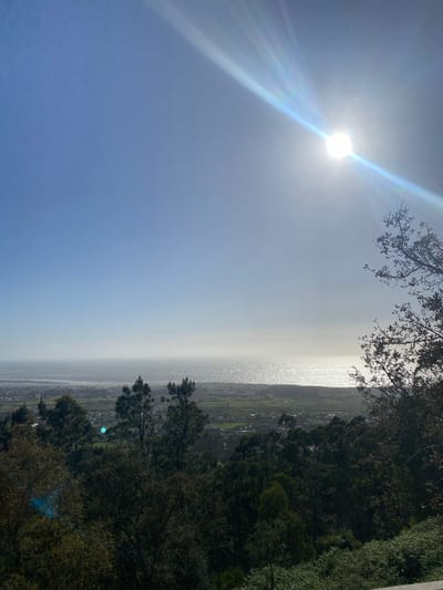 The image depicts a landscape in Esposende, Portugal, oriented vertically. The sun is positioned high in the sky to the left, emitting bright rays. The sky is a light blue. To the right, the landscape shows a forested area. The coastal area is visible between the sky and the forest, with the Atlantic Ocean in the background. The scene is hazy, obscuring the details of the land and sea. No people are visible.
