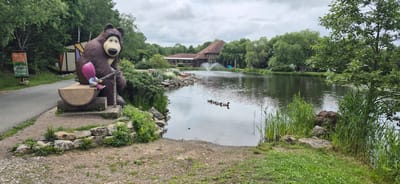 This is a panoramic photograph of a park-like setting with a large pond or small lake. On the left side of the image, a large statue of a brown bear holding a young girl character is prominently displayed, seated on a wooden log bench. To the left of the statue, a signpost with Russian text and an image of an ATV is visible. The pathway in front of the statue is gravelly, bordered by a low stone wall and lush greenery.
The pond occupies the majority of the middle and right sections of the image. Several ducks are swimming in a line on the water. In the background, a building with a reddish-brown roof, possibly a restaurant or a lodge, is situated along the edge of the pond. A fountain is spraying water in the pond in front of this building. The surroundings are heavily wooded with mature trees, and the sky is overcast. The overall impression is a recreational area, likely an amusement park or a park with themed attractions, situated in a natural environment. The mention of Knevichi, Russia, suggests this location is within or near that city.