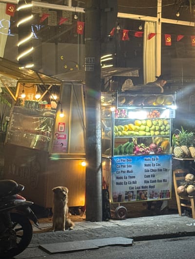 This nighttime scene in Ngũ Hành Sơn Ward, Vietnam, depicts a vibrant street vendor area illuminated by artificial lights. In the mid-ground, a golden-brown dog with medium-length fur sits attentively on the concrete sidewalk, facing right. To its left, partially visible, is the rear wheel and fender of a dark motorcycle. A utility pole stands centrally, bearing white numerical markings "605 20 35" and "533 332". To the left of the pole, a vendor stand with translucent panels and internal lighting is present, featuring a vertical banner with a QR code. To the right of the pole, a brightly lit, two-tiered mobile fruit stall displays various fruits including yellow and green mangoes, green bananas, and pink dragon fruit. A blue and white sign below the fruit display lists beverages in Vietnamese. Behind the fruit stall, a person wearing a dark hat and light-colored top is seen lying or leaning on the top of the stall. To the far right, pineapples and coconuts are stacked on a wooden stand. The background reveals building structures and numerous red bunting flags adorned with a yellow hammer and sickle emblem. Decorative spiral string lights and bare bulb string lights provide additional illumination to the entire street market setting.