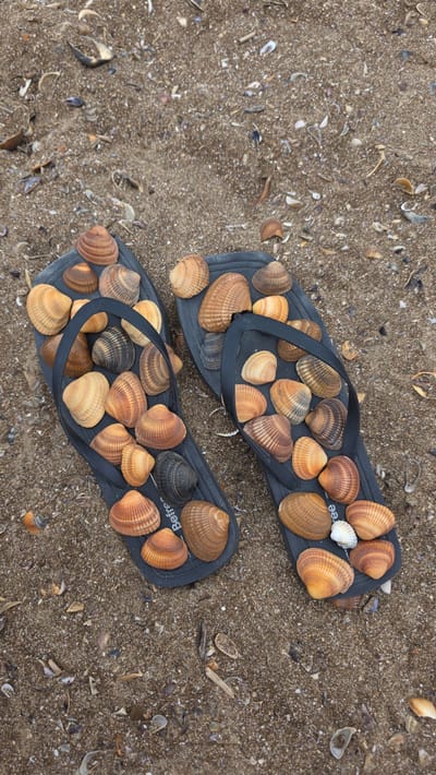 A pair of black flip-flops filled with seashells lies on a sandy beach in Derbent, Russia. The flip-flops are positioned side-by-side, with the soles facing upwards and covered in a variety of cockle shells. The shells are predominantly in shades of orange, brown, and cream, with some exhibiting ribbed patterns. The beach sand is coarse and mixed with numerous smaller shell fragments and debris. The scene is captured from a high-angle, slightly overhead perspective, with no people or animals present. The lighting suggests an overcast or diffused daylight.