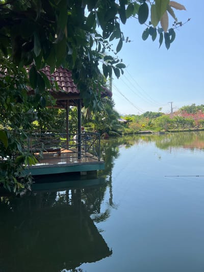 A scenic view of a lake in Suối Tân, Vietnam, shows a covered wooden platform extending over the water. Dense green foliage frames the left side of the image, with the roof of the platform visible beneath the leaves. The platform has a metal railing and appears to be a seating area. The calm lake reflects the sky and surrounding trees. In the background, a lush landscape with various trees and flowering bushes can be seen, along with utility poles and power lines. The sky is clear and blue. The overall impression is one of tranquility in a natural setting.