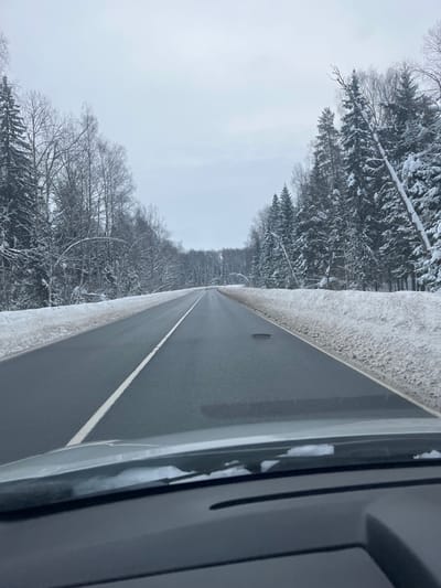 The scene, identified as being in Butyrki, Russia, portrays a two-lane asphalt road extending into the distance through a snow-covered forest under an overcast sky. The perspective is from within a vehicle, looking forward over a dark dashboard with a thin layer of snow resting on the windshield's lower edge. The dark grey road surface, appearing wet or clear of snow, features a continuous white line marking its center. A distinct dark, irregular patch or pothole is observed in the right lane in the mid-ground. Accumulations of dirty snow form banks along both edges of the road. Dense forest flanks both sides of the road; the trees, primarily evergreens mixed with some bare deciduous specimens, are heavily laden with white snow. Several tree branches, particularly on the left, are bent significantly downward under the weight of the snow, and multiple coniferous trees on the right are noticeably leaning towards the roadway. The sky is a uniform, light grey, indicating an overcast condition. No individuals or additional vehicles are present within the visible frame.
