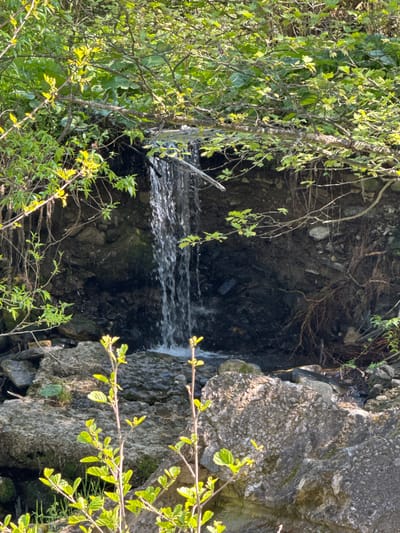 The image depicts a small waterfall cascading over rocks into a dark, shadowed area. Lush green foliage surrounds the waterfall, partially obscuring the view. The location is Parvenets, Bulgaria.