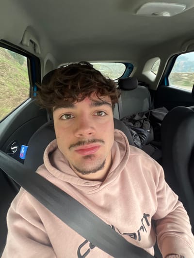 A male individual is depicted in a medium close-up, seated as a front passenger inside a vehicle, looking directly at the camera. He is wearing a light pink hooded sweatshirt and a black seatbelt is buckled across his chest and lap. He possesses curly brown hair, a short mustache, and a chin beard. A subtle reddish mark is present on his forehead above his left eye. The vehicle's interior components visible include the headliner, a grab handle above the passenger window, and portions of the rear seating area where dark fabric items or bags are stored. A blue object with a partially visible "SPARCO" logo is affixed to the door panel to the individual's left. The exterior environment, observed through the vehicle's windows, displays blurred green vegetation on a hillside and what appears to be a stone wall or terraced landscape, indicative of a natural or rural setting. The specific location within Santa Marta de Penaguião, Portugal, cannot be determined from the visual evidence provided.