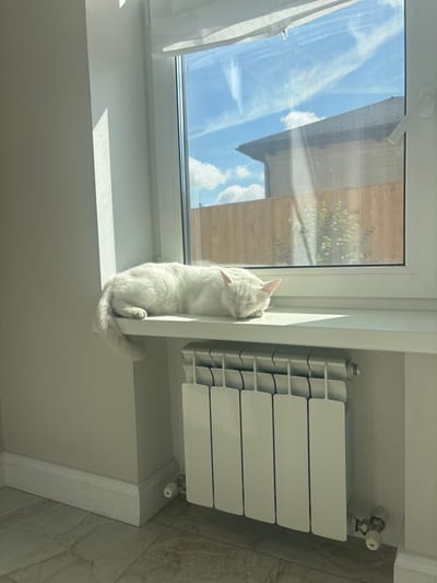 A white cat sleeps on a windowsill in a brightly lit room. Sunlight streams through a window, illuminating the cat and casting shadows on the wall. Outside the window, a blue sky with scattered clouds is visible, along with the roof of a house and a wooden fence. Below the windowsill, a white radiator is mounted on the wall. The floor is tiled with a marble pattern. The scene depicts a peaceful domestic moment in a room that appears to be in Dubovoye, Russia.