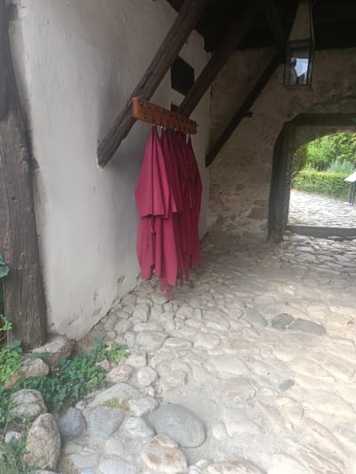 This media file captures a rustic scene featuring a stone-paved walkway leading through an archway into an outdoor area with greenery. The setting appears to be an old, possibly historical, building with rough stone walls and wooden beams.
Dominating the left side of the frame are several deep red robes or garments hanging on a wooden peg rack mounted on a white, textured wall. These garments are the most prominent objects in the scene. To the left of the wall, a thick, weathered wooden post stands vertically. The ground is unevenly paved with a variety of rounded stones, some of which are partially covered by small green plants and weeds.
In the background, the archway reveals a bright outdoor space with more stone paving and lush green foliage, suggesting a sunny day. A rustic lantern is suspended from wooden beams above the archway, hinting at the possibility of the location being used at night or for atmospheric effect. The overall impression is one of a historical or traditional setting, possibly a monastery, museum, or preserved village, given the stone architecture and the presence of the robes, which could be part of a costume or ritual. The light and the greenery suggest it's daytime. There is no visible text in the image.