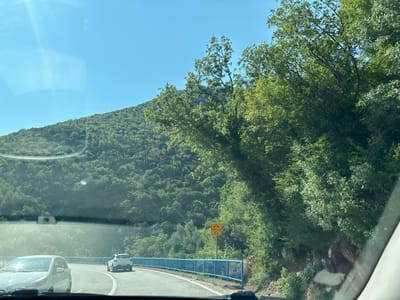 The image shows a scenic drive on a sunny day through a mountainous, forested area. The perspective is from inside a vehicle, looking out through the windshield and side window. The road curves to the right, with a bright blue metal railing on the left side, separating the road from a steep incline covered in lush green trees. A white car is visible ahead on the road, driving in the same direction. Further ahead, another white car is also on the road.
The mountain slopes are densely covered with trees, creating a vibrant green landscape under a clear blue sky. The sun is shining brightly, casting sunlight onto the road and the trees, with some lens flare visible in the upper left corner. On the right side of the road, a yellow sign with black text is mounted on a pole. The sign displays an arch symbol at the top and the text "Petrovac 87 m".
The scene evokes a sense of travel and exploration, likely during daylight hours given the bright sunshine. The weather appears to be clear and warm, suitable for driving and enjoying the scenery. The overall atmosphere is peaceful and natural, highlighting the beauty of the Montenegrin landscape.