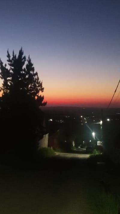 The image displays a twilight landscape, likely at sunset, overlooking a settlement identified as Minino Stantsiya, Russia. The sky transitions from a deep indigo at the upper zenith to a vibrant band of orange and crimson along the horizon.
In the foreground, a large, dark silhouette of a coniferous tree, consistent with a pine, occupies the left side of the frame. The immediate ground level is deeply shadowed, showing minimal detail except for faint traces of vegetation. A downward-sloping, unpaved or dimly lit road runs from the center foreground into the midground.
Along this road in the midground, several operational streetlights emit bright artificial illumination. A white circular "no parking" sign is clearly visible on the right side of the road, positioned near one of these streetlights. Faint outlines of small structures or fences are discernible in the shadows bordering the road. In the upper right quadrant, a utility pole with power lines is partially visible.
The background reveals a sprawling view of the town, characterized by numerous scattered artificial lights that indicate buildings and infrastructure extending into the distance. A subtle, darker silhouette of distant terrain or hills is discernible against the lower sky. No human figures or discernible actions are present in the scene.