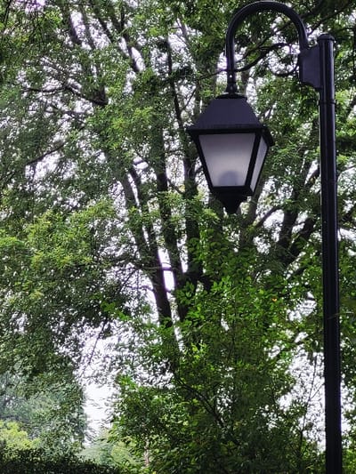 The image displays an outdoor scene in Hampstead, Canada, featuring a black lamppost and dense foliage. A prominent black lamppost, with a curved upper arm, is positioned vertically along the right side of the frame. Attached to the lamppost's arm is a dark, six-sided lantern-style light fixture, fitted with frosted white panels, which appears unlit. The background is dominated by a dense canopy of green leaves from multiple trees, occupying the majority of the frame. Various shades of green foliage are visible, indicating lush growth. Patches of bright, possibly overcast, sky are visible through gaps in the tree canopy, particularly in the upper and central-left areas. No individuals, animals, or specific actions are present in the scene.