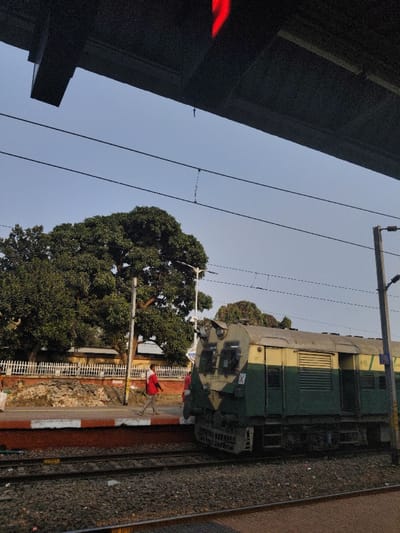 The image depicts a railway station platform in Bardhaman, India, during daylight hours under a clear, light blue sky.
An elevated dark, likely concrete, structure spans the top quarter of the frame, with a red illuminated element visible on its underside. Below this, multiple overhead electrical wires (catenary lines) are strung across the scene.
A green and cream-colored Indian Railways WDM-3A class diesel locomotive, bearing the number "22235" on its front, is positioned on the tracks adjacent to a raised concrete platform. Two sets of railway tracks are visible in the foreground.
One male individual, wearing a red long-sleeved shirt and light-colored trousers, walks from left to right on the platform, parallel to the train. A second person is partially visible behind the first, closer to the train, wearing a lighter top.
Behind the platform, a low white fence separates the railway area from a natural environment dominated by several large, densely foliated trees, likely mango trees. A white street lamp post is situated among these trees. A light-colored building structure is partially visible behind the fence on the far left. A utility pole with horizontal cross-arms is present on the right side of the frame, supporting additional wires.