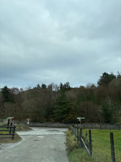 The image presents a rural scene near Shelve, United Kingdom, under a cloudy sky. A wet asphalt road occupies the foreground, showing signs of recent rain or damp conditions. To the right of the road, a wire fence separates the road from a grassy field. Beyond the field, a stone wall runs parallel to the road, dividing the landscape. On the other side of the wall, a dense forested area rises, composed of bare trees and some evergreen foliage. A white signpost is visible at the intersection, and a "Give Way" sign stands near the road. A small structure with a red roof and wooden fence is visible in the lower left.