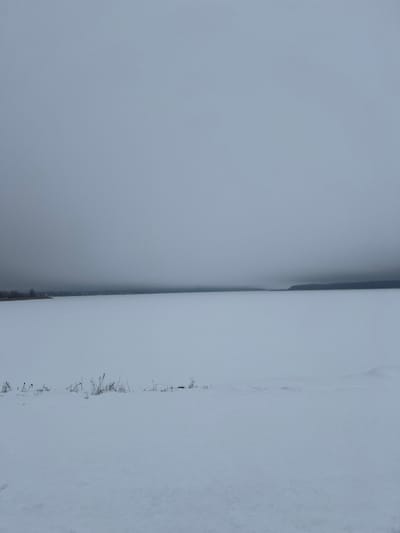 The image depicts a vast, snow-covered winter landscape located near Zarichne, Ukraine. The foreground consists of a flat, unbroken expanse of white snow, from which several clusters of dry, dark, leafless plant stalks protrude. This snowy ground transitions into a wide, level plain of uniform white, characteristic of a frozen body of water. Along the distant horizon, a low, dark landmass is visible. On the left side of this distant horizon, faint, indistinct structures are discernible, suggesting a small settlement or dispersed buildings. The right side of the distant horizon shows a solid, dark horizontal line, indicating a distant treeline or elevated terrain. The sky is entirely overcast and a uniform gray, merging seamlessly with the distant horizon, contributing to an overall muted, monochromatic scene. No individuals, animals, or active human interactions are present in the frame.