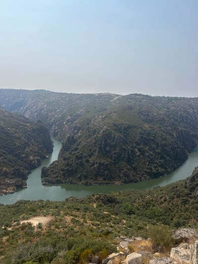 The image displays a high-angle, panoramic view of the Douro River as it carves through a deep gorge near Miranda do Douro, Portugal. The river, a prominent subject, flows in a distinct S-shaped bend, its waters appearing a deep emerald green, reflecting the surrounding environment. Steep, rugged, and dark rock faces, characteristic of a canyon or gorge, rise abruptly on both sides of the river. These rock formations are densely covered with dark green, low-lying vegetation, including scrub, bushes, and scattered small trees. The foreground, captured from an elevated viewpoint, consists of similar green vegetation interspersed with lighter-colored, exposed rock formations. The sky above is a clear, light blue, exhibiting a faint atmospheric haze. No human figures, animals, or man-made structures are visible within the frame.