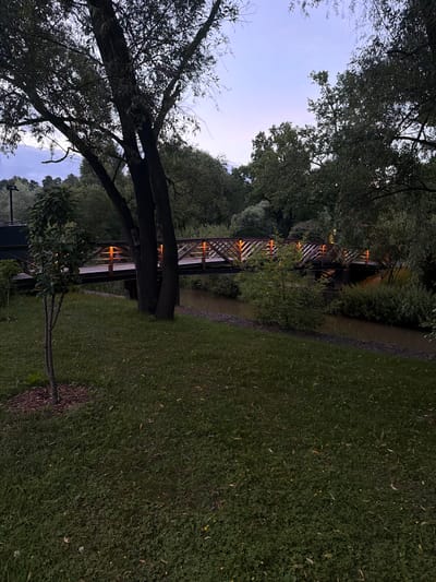 The image captures a scene in Izmailovo, Russia, likely at dusk. A wooden pedestrian bridge spans a narrow, calm body of water, its railings illuminated by warm, orange lights. The bridge's structure features a diamond-patterned railing. Lush green grass covers the foreground, with a young, slender tree to the left of the frame. The background is densely wooded with mature trees, their dark foliage contrasting with the soft hues of the twilight sky. The overall atmosphere is tranquil and serene.