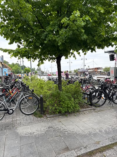 The image depicts the harbor area of Lappeenranta, Finland, identifiable by its proximity to structures consistent with the Herttua Hotel. A large deciduous tree with dense green foliage occupies the upper central portion of the frame. The immediate foreground consists of a grey tiled sidewalk and a cobblestone section to its left. Numerous bicycles are parked in metal racks across the mid-left and central parts of the scene, with various models and colors present. Green shrubbery borders the bicycle parking area.
In the midground, a male individual wearing a dark short-sleeved shirt and light-colored trousers stands facing right, near the center. Behind the bicycles and vegetation, a series of market stalls and low-rise buildings are visible. A black tent with the text "SMOKEY METAL BBQ" is prominent among the stalls. Beyond these structures, a body of water, likely Lake Saimaa, is visible with a large white ship and smaller boats docked. A red car is parked near the water's edge. Tall streetlights with multiple fixtures are spaced across the background. On the far right, a utility pole supporting an outdoor speaker and a grey structure featuring a pink rabbit illustration are discernible. The sky is overcast.