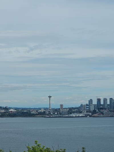 A wide shot captures the Seattle skyline on a cloudy day, with the Space Needle prominently featured. The city's waterfront is visible, with buildings and structures lining the shore. The Puget Sound is in the foreground, its surface rippling gently. Green foliage is present in the lower portion of the frame, suggesting a park or natural area overlooking the water and cityscape. The sky is filled with layers of clouds, creating a muted, atmospheric light. The image appears to be taken from a distance, offering a panoramic view of the urban landscape.