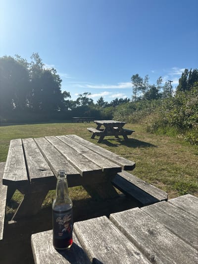 A scenic, slightly angled view captures a sunny day at a park with picnic tables. One table is in the foreground, prominently displaying a glass bottle lying on its side. Other picnic tables are visible in the background, lined up amidst the green grass and trees. The sky is clear blue, adding to the peaceful and relaxing ambiance of the outdoor setting.