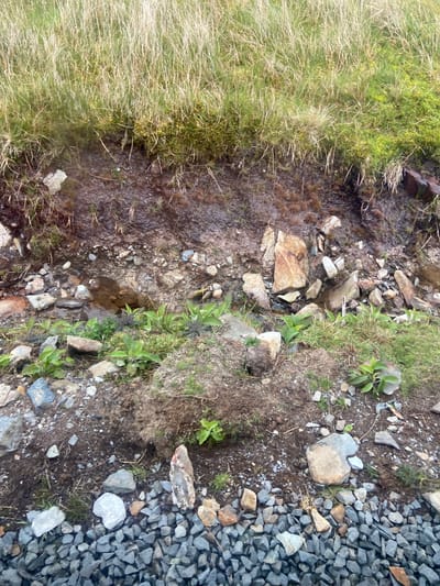 The image depicts a section of ground in what appears to be a mountainous or hilly area. On the left side of the image, there is thick, green and brown grass, transitioning into a damp area with small stones. Moving further right, the ground is covered with larger rocks and patches of grass and small green plants. The extreme right side of the image features a concentration of small, gray rocks, possibly a gravel path or area. The damp area suggests the presence of a small stream or continuous moisture. The image is taken from an overhead perspective. Without further context, it is not possible to confirm if the location is in Llanberis, United Kingdom, or to add more details.
