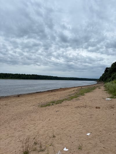The image shows a sandy beach along a wide river in Nevskaya Dubrovka, Russia. The sky is overcast with gray clouds. A dense forest lines the opposite bank of the river. The beach is mostly empty, with some sparse vegetation and debris scattered on the sand, including what appears to be white plastic bags and wrappers. In the distance, a small boat is visible on the river.