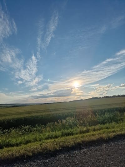 The image depicts a wide, sunlit field of green crops under a bright blue sky dotted with wispy white clouds. The sun is partially obscured by clouds, casting a warm glow over the landscape. In the foreground, a strip of dark, gravelly ground transitions into a band of lush green grass and wildflowers. The horizon features a distant treeline and rolling hills. The scene is located in Utrennyaya Dolina, Russia. There are no people or animals visible in the image.