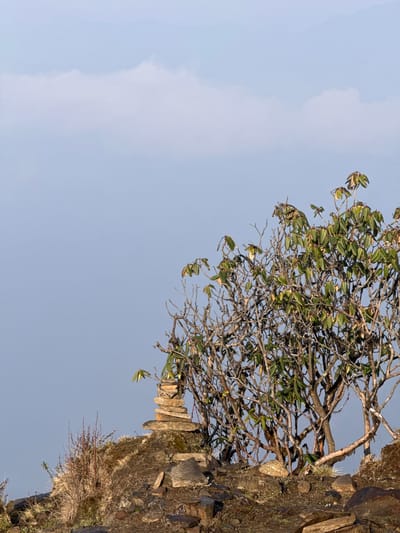 The image shows a tree with sparse green leaves growing out of a rough, stacked stone wall in Lwang Ghalel, Nepal. The wall is weathered and has small patches of dry grass and moss. The background is a pale blue sky with faint clouds. The image is oriented with the sky on the left and the wall and tree on the right side of the photo.