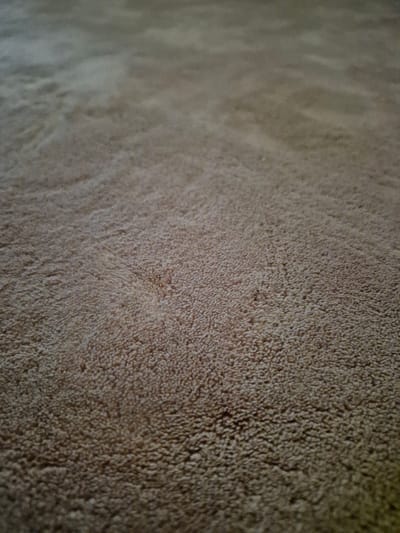 The image shows a close-up, low-angle view of a textured, light brown carpet. The carpet appears to be a shag or high-pile variety, with individual fibers clearly visible, creating a soft and somewhat uneven surface. The lighting suggests an indoor environment, with shadows and highlights indicating the direction of the light source. The scene is entirely devoid of any human presence or activity, and there are no discernible objects other than the carpet itself. The image does not provide any information about its specific location within the city of Švenčionys, Lithuania, or any context beyond the texture and color of the flooring.
