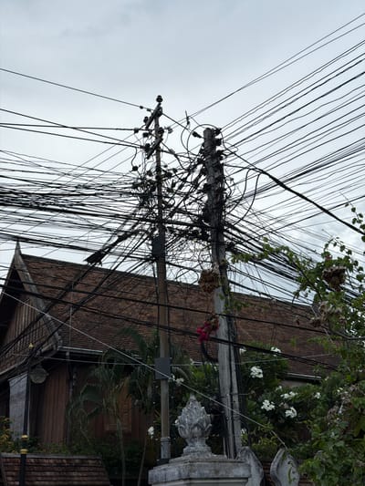 The image captures a dense entanglement of power lines surrounding a wooden building with a tiled roof in the city of Choumkhong, Laos. The sky is overcast. Two utility poles stand prominently, one on the left and another on the right, heavily laden with numerous black cables that crisscross and overlap in a chaotic fashion. The wooden building appears to be a residential or commercial structure, with visible architectural details like a pointed roof gable. Lush green foliage, including palm trees and flowering bushes, intermingles with the utility poles and cables, with some plants growing quite close to the electrical infrastructure. A decorative stone finial is visible in the lower foreground, partially obscured by the greenery. There are no people visible in the scene. The overall impression is one of urban infrastructure densely integrated with the natural environment.