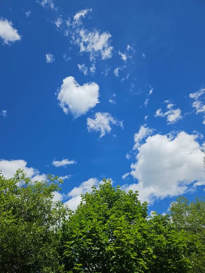A bright, clear blue sky filled with scattered white clouds dominates the upper portion of the image. One cloud formation in the upper left quadrant appears to vaguely resemble a heart shape. The lower portion of the image features the lush green foliage of trees, with dense leaves and branches silhouetted against the sky. The scene suggests a natural, outdoor environment, possibly a park or a forest on a sunny day in Pontagna, Italy. No people or specific man-made structures are visible.