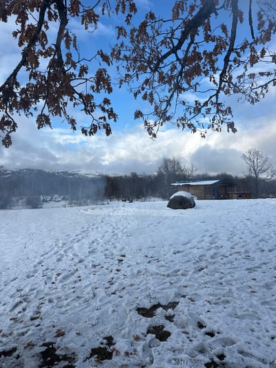 The image depicts a winter landscape in Доња Брезна, Montenegro, under a partly cloudy sky. The foreground consists of snow-covered ground exhibiting numerous human footprints and scattered dry leaves. A large, dark-wrapped round hay bale rests centrally on the snow. In the midground, a single-story wooden cabin with a dark, snow-dusted roof is visible, accompanied by a smaller wooden shed to its right. A light-colored vehicle is partially obscured behind the hay bale, near the cabin. The midground and background are dominated by a forest of bare deciduous trees. Beyond the tree line, snow-dusted mountains are partially enveloped by low clouds or mist. A plume of white smoke or vapor emanates from the distant tree line on the left. Bare tree branches with persistent brown leaves frame the top of the scene. No individuals are present.