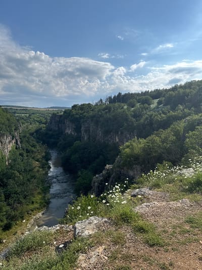 The image captures a vertical landscape scene in Emen, Bulgaria. A deep gorge is the central element, with a river flowing at the bottom. The gorge is flanked by steep, rocky cliffs densely covered with trees and vegetation, including white flowers growing on the edge of the cliff. On the top right edge, we can see a view of rocky soil covered by sparse grass. The sky is predominantly blue with scattered, puffy white clouds. The image is taken from a high vantage point, giving a wide view of the entire landscape. In the distant left of the frame, open land with fields is visible.