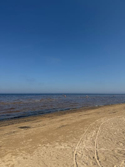 The image depicts a beach scene on a clear, sunny day. The expansive, cloudless blue sky occupies the upper portion of the frame, meeting the horizon with a sharp, defined line. Below the sky, the calm water of the sea stretches across the middle of the image. The water is a murky brown color, suggesting it may be shallow or contain sediment. Several small figures of people are visible in the water, some appearing to be wading or swimming. The foreground is a sandy beach, with light-colored sand showing tire tracks from a vehicle or perhaps other equipment. The beach appears to be a public area, likely a recreational spot. The location is identified as Kalngale, Latvia, a known seaside resort area.