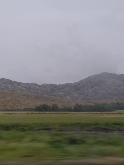 The image depicts a landscape scene under an overcast sky. In the foreground, a blurred green field suggests motion, possibly from a vehicle. Behind the field, a line of dark green trees runs horizontally across the frame. Further in the background, a rolling hills landscape is visible, with the upper slopes covered in grey, rocky formations and the lower slopes in dry, yellowish-brown vegetation. The overall impression is one of a natural, possibly remote, environment. The provided location, Приречный ауылдық округі, Kazakhstan, suggests this landscape is situated in that region.