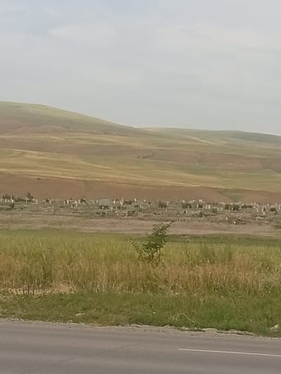 The image shows a rural landscape in Tash-Moinok, Kyrgyzstan. In the mid-ground, a large cemetery is visible, with numerous tombstones scattered across a dry, grassy area. The cemetery is bordered by fields of tall, dry grass and vegetation. Behind the cemetery, rolling hills covered in vegetation stretch towards the horizon. The sky is overcast, with a pale, diffused light. In the foreground, a paved road runs across the bottom of the frame, with a white line marking the lane. A single, small tree stands in the middle ground to the left of the cemetery.