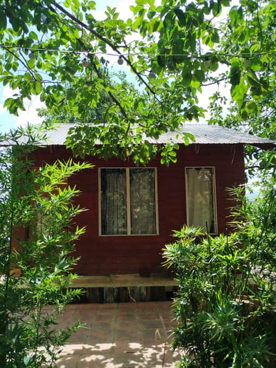 A dark red, wooden structure, possibly a small house or shed, is partially obscured by lush green foliage. The building has a corrugated metal roof and two windows with white frames. The left window is larger and wider than the right window. Both windows appear to have sheer curtains. In front of the building, a paved area with reddish-brown tiles is visible, with dappled sunlight casting shadows. Green bamboo plants and other leafy branches surround the structure, suggesting a natural, possibly rural or garden setting. The sky above is blue with some white clouds. The overall impression is one of a rustic, secluded location, perhaps in Trường An, Vietnam, where nature is encroaching on the man-made structure.