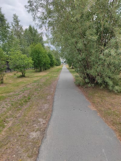 The image shows a paved pathway receding into the distance, flanked by a grassy area on the left and dense trees and shrubs on the right. The pathway appears to be in a park or a recreational area, possibly in Nefteyugansk, Russia, given the context. The trees on the right are tall and leafy, creating a shaded canopy over the path in some sections. On the left, the grassy area is somewhat dry and patchy, with a few scattered branches and some litter visible. A metal fence can be seen behind the trees on the far left. In the distance, a few more trees are visible, and what appears to be a distant building or structure. The sky is overcast, suggesting cloudy weather. The overall impression is of a quiet, perhaps slightly damp, outdoor setting on an ordinary day. There are no people or specific events depicted, and the focus is on the natural surroundings and the man-made pathway. The time of day is not explicitly indicated but the lighting suggests it is daytime, possibly late afternoon or morning. No visible text is present in the image.
