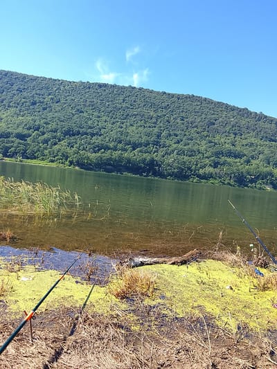 This is a wide-angle, eye-level shot of a lakefront scene. In the foreground, the muddy bank is covered with dry grass and reeds. Two fishing rods are propped up on the bank, one on the left and one on the right. The rod on the left is green with an orange tip and is angled towards the water. The rod on the right is black and extends upwards and to the right. The water is calm and clear, with visible reeds and some green algae floating on the surface. A partially submerged log lies in the water near the bank. In the background, a dense, green, tree-covered hill rises steeply from the water's edge. The sky above is a clear, bright blue with a few wispy white clouds. The scene appears to be a serene, natural setting, likely in or near the city of Asparuhovo, Bulgaria, given the presence of the lake and the surrounding hills.