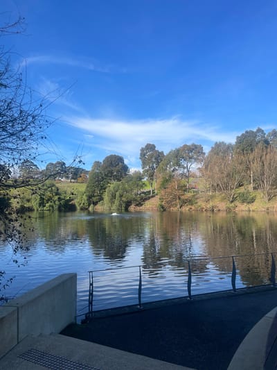 A wide-angle, landscape, eye-level, natural outdoor shot shows a tranquil lake with gentle ripples reflecting the clear blue sky and surrounding trees. A dark, smooth, paved pathway runs along the edge of the lake, bordered by a metal railing. To the left of the pathway is a concrete retaining wall and a set of concrete stairs with tactile paving. Beyond the lake, a lush green hill rises, dotted with various trees, some of which are showing autumn colors. A small white fountain is visible in the middle of the lake. In the distance, two figures can be seen walking on a path on the hill. The overall atmosphere is peaceful and serene, indicative of a park or natural reserve. This scene is located in Berwick, Australia.