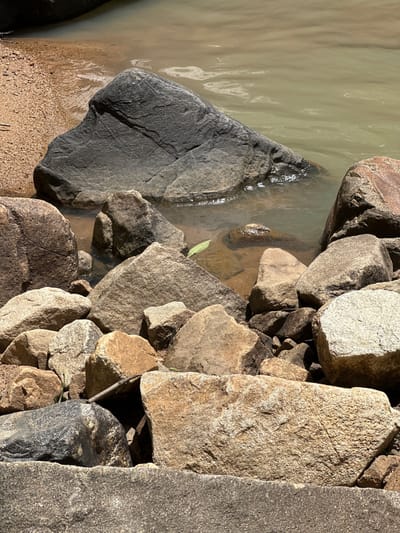 The image shows a rocky shoreline with calm, murky water. The rocks are of various sizes and colors, ranging from dark gray to light brown and white. Some of the rocks are partially submerged in the water, while others are on the shore. The shoreline is composed of sand and pebbles. A small, green leaf is visible in the water, near the shore. The scene appears to be a natural landscape, possibly a riverbank or a lake. There are no people or man-made objects visible in the image, except for what appears to be a stick lying on the rocks.