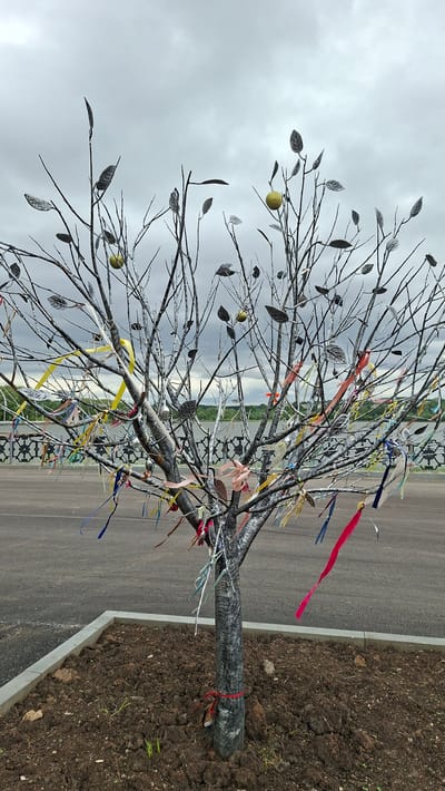 An artificial tree with gray metal leaves and a gray trunk decorated with colorful ribbons stands in a planted area in the city of Nytva, Russia. The tree has two yellow apple-like objects and is planted in a bed of dark brown soil. The tree is located next to a paved area and a decorative metal fence with a body of water visible in the background. The sky is overcast and gray.