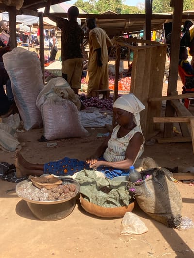 The image depicts an open-air market scene in Nev, Nigeria, under a rudimentary wooden structure providing partial shade on a sunny day. In the foreground, an adult female with dark skin is seated on the bare earth, wearing a light headscarf, a white pleated sleeveless top, and a blue patterned skirt. Her hands are clasped in her lap, and her gaze is directed downwards. To her left, a large dark bowl holds a metal tray containing numerous small, spherical, dark-colored items and a small wooden scoop. In front of her, a large gourd bowl contains green leafy items, and a piece of green fabric is folded nearby. To her right, a large, dark, woven sack rests on the ground, along with a blue plastic bottle and a clear plastic bag.

In the mid-ground, behind the seated woman, two large white translucent sacks filled with reddish-brown contents are propped against wooden supports. Further back, numerous individuals are visible. A man in a dark patterned shirt and light shorts stands with his arm raised, while another man in a long, light-tan garment stands nearby. Piles of red onions are spread across the ground, and other produce, possibly carrots or red peppers, are also visible. Additional market stalls and distant trees are discernable under bright daylight conditions. The ground throughout the visible market area is unpaved earth.