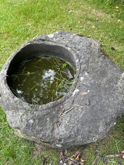 An outdoor, medium shot captures a close-up of a large, rough, gray stone with a hollowed-out basin filled with murky green water and some blades of grass. The stone is situated on a patch of green grass, with some fallen leaves and twigs scattered around it. The water in the basin reflects the sky and tree branches. The stone appears weathered and textured, with some moss or lichen present in places. The image does not show any people, buildings, or specific landmarks that would help identify the precise location within Castlecomer, Ireland.
