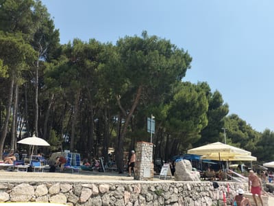 In the city of Krk, Croatia, a sun-drenched beach scene unfolds under a clear blue sky, bordered by a dense forest of tall, green pine trees. In the foreground, a low stone wall separates the beach from a paved walkway. The beach is populated with sunbathers relaxing on lounge chairs, some under the shade of white umbrellas. Beach umbrellas and chairs are set up for rent. In the middle ground, a man in black shorts and a white cap stands near a stone pillar that has a sign post mounted on it. Further back, a small outdoor cafe operates under large yellow umbrellas bearing the "Jana" brand, with patrons seated at tables. People are seen in swim attire, some walking, others sitting or standing. The overall atmosphere is one of a relaxed summer day at the coast.