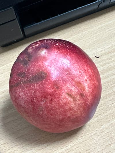 A close-up, overhead shot features a single, red plum resting on a light-colored, wooden surface. The plum is slightly oblong and exhibits subtle variations in color, with some darker, reddish-brown patches and lighter speckles. The wooden surface has a visible grain pattern. In the upper left quadrant of the image, a dark, electronic device, possibly part of a keyboard or computer casing, is partially visible. The lighting is neutral, casting no significant shadows. The scene is devoid of any human presence or activity, and there are no discernible environmental indicators of its location, including any reference to Kadamjay, Kyrgyzstan.