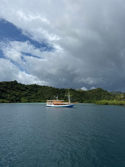 The image depicts a boat sailing on the water near Rinca Village, Indonesia. The sky is filled with clouds. The land is covered with dense green vegetation. The water appears calm.